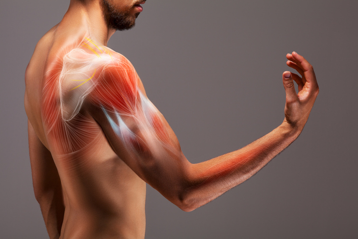 3d illustration of man and muscle