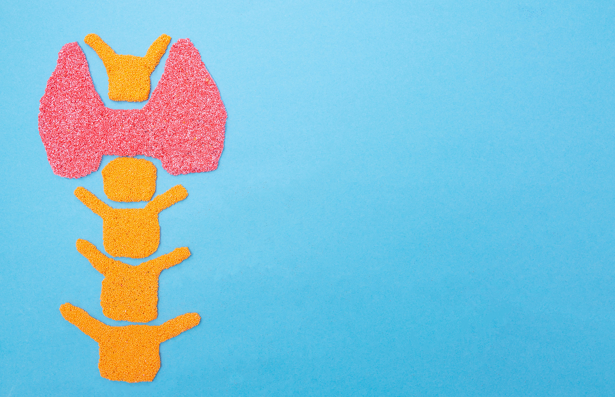 Plasticine thyroid gland on a blue background. Thyroid disease concept, nodular goiter, cancer. Hyperfunction Treatment, copy space stock photo